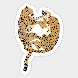 Cheetah Cuddles Sticker